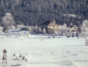 58.jpg