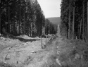 010.jpg