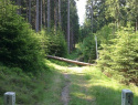 05.jpg