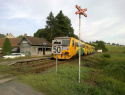 06.jpg