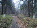 06.jpg
