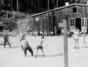 063.jpg