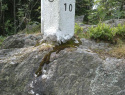 76.jpg