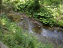 05.jpg