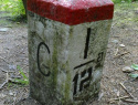 06.jpg