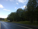 59.jpg