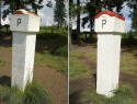 65.jpg