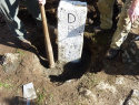 06.jpg