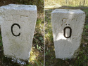 68.jpg