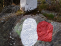 77.jpg