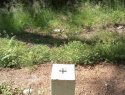 08.jpg