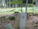 64.jpg