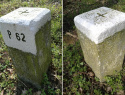 74.jpg