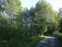 61.jpg