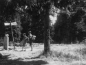 06.jpg