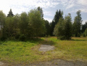 09.jpg