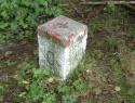07.jpg